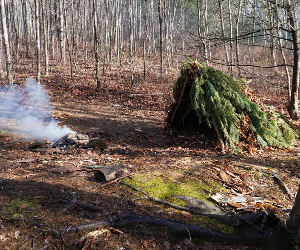 survival skills