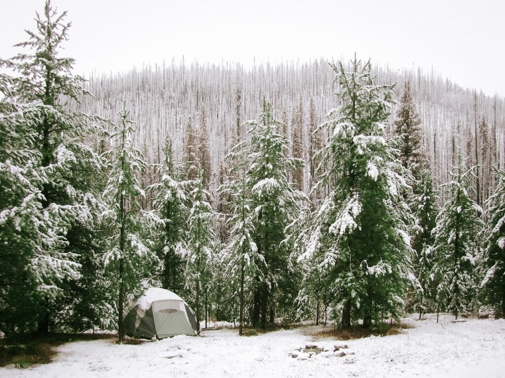 Winter survival skills