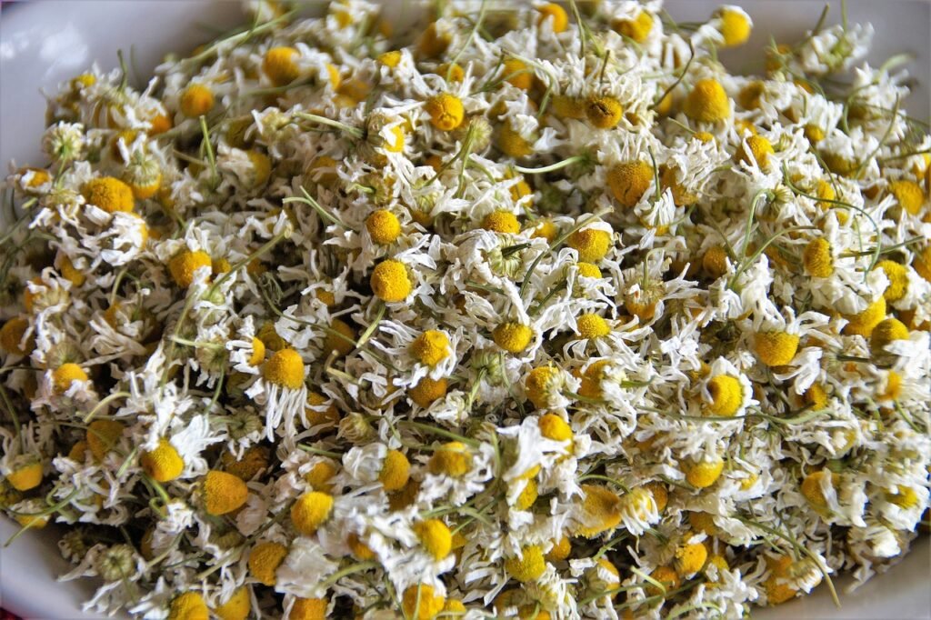 Best herbal tea; chamomile