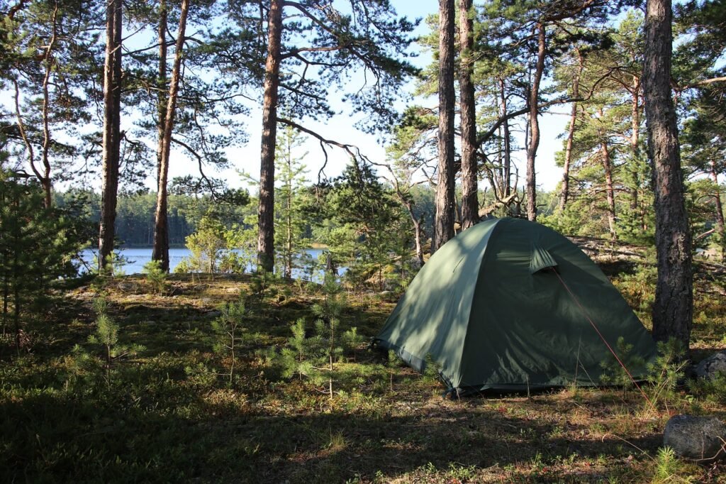 green tent in forest