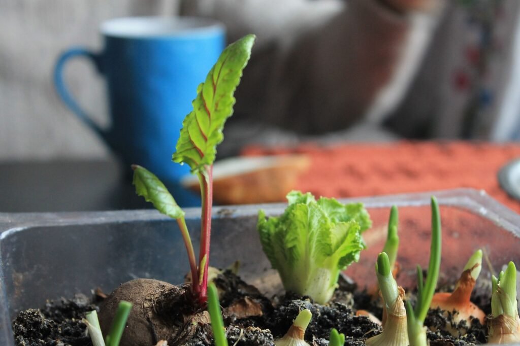 Urban Prepping: Indoor garden